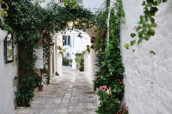 Attico Ostuni Leilighet Eksteriør bilde